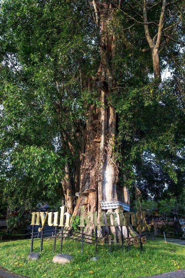 Bijia Villa W Private Pool - Peaceful Quiet Luxury Villa - Near Monkey Forest Ubud  Luaran gambar